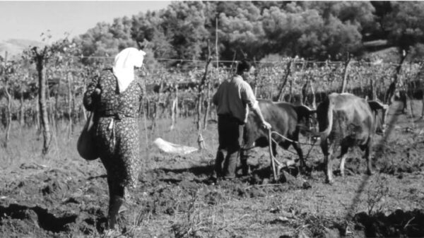 Ο Γιάννης ο φονιάς που σκότωσε με επτά μαχαιριές την άπιστη γυναίκα του