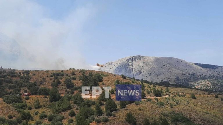 Χίος: Στάχτη 270 στρέμματα, δάσος και καλλιέργειες, από την μεγάλη πυρκαγιά στις Καρυές