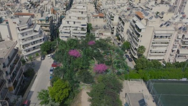 Ένα MicroForest γεννιέται στην Αλεπότρυπα της Κυψέλης
