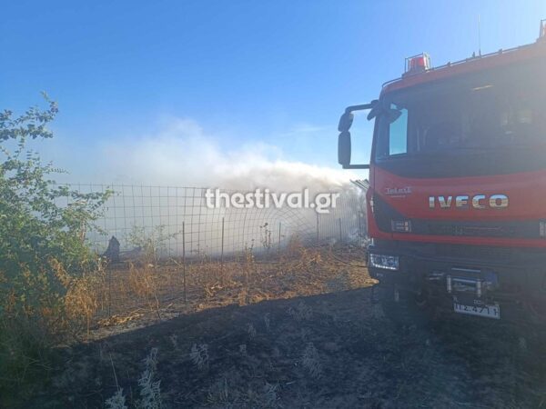 Θεσσαλονίκη: Κάηκε ποιμνιοστάσιο με ζώα από τη μεγάλη φωτιά στον Λαγκαδά (φωτο)