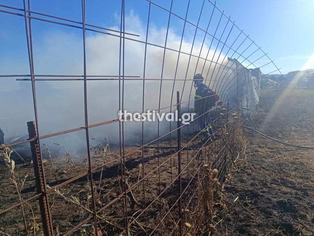 Θεσσαλονίκη: Κάηκε ποιμνιοστάσιο με ζώα από τη μεγάλη φωτιά στον Λαγκαδά (φωτο)