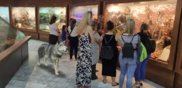 Μαθητές και μαθήτριες του Νηπιαγωγείου Μεγαλοχωρίου επισκέφθηκαν το Μουσείο Φυσικής Ιστορίας