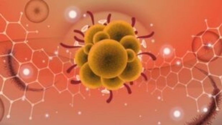 Καταγράφηκε 2ος θάνατος στη Ν. Αφρική από τον ιό mpox αυτήν την εβδομάδα
