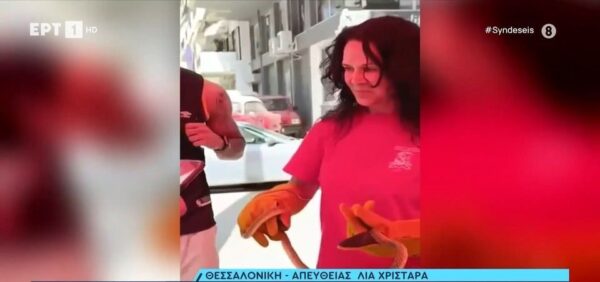 Θεσσαλονίκη: Φίδι πάνω σε δέντρο αναστάτωσε τους κατοίκους της Καλαμαριάς