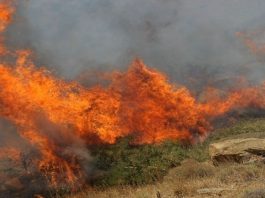 Μεγάλη φωτιά σε εξέλιξη στην Τερπνή Νιγρίτας