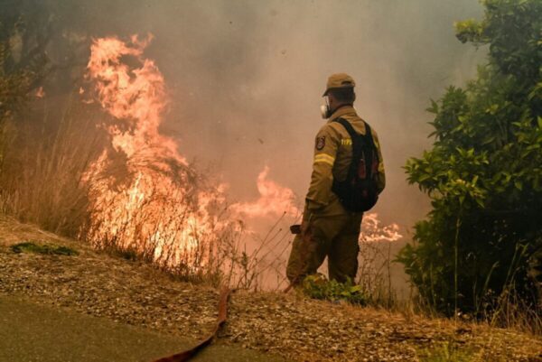 Διάσπαρτες εστίες στην Άνδρο με 8 μποφόρ – Σε ύφεση τα πύρινα μέτωπα σε Ηλεία, Σαλαμίνα