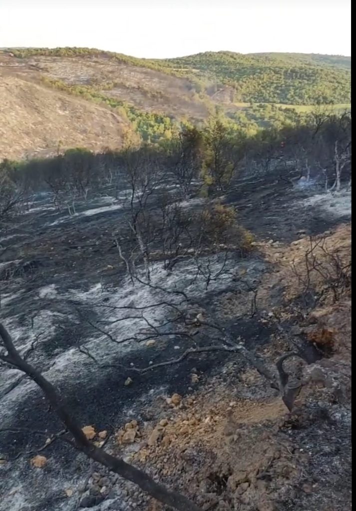 Μεγάλη φωτιά στις Σέρρες: Ενισχύθηκαν οι δυνάμεις στη Νιγρίτα – Μεγάλη κινητοποίηση της Πυροσβεστικής