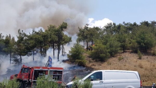 Θεσσαλονίκη: Συνελήφθη ο νεαρός για τη φωτιά στο Σέιχ Σου
