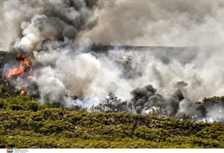 Κιλκίς: Πυρκαγιά σε αγροτοδασική έκταση στην Ποντοηράκλεια – Επιχειρούν και δύο αεροσκάφη