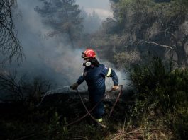 Η Πυροσβεστική ανακοίνωσε 54 πυρκαγιές το τελευταίο 24ωρο