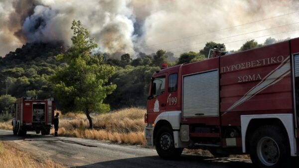 Φωτιά στα Κρούσια στις Σέρρες -Συναγερμός στην Πυροσβεστική, στη μάχη και ελικόπτερο