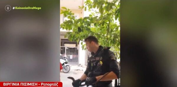 Αστυνομική επιχείρηση για φίδι που αποδείχθηκε… σαύρα