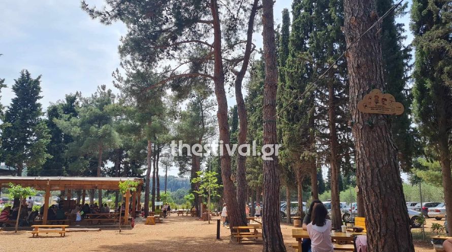  Θεσσαλονίκη: Ένα χωράφι μετατράπηκε στον ομορφότερο χώρο παιχνιδιού για παιδιά! (φωτο & video) 