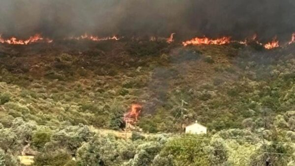 Συνεχίζεται η μάχη με τις φλόγες στην πυρκαγιά στην Εύβοια (βίντεο)