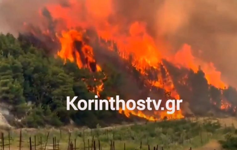 Κόλαση φωτιάς στην Κορινθία: Στη μάχη με τις φλόγες 159 πυροσβέστες και εναέρια μέσα – Μήνυμα από το 112