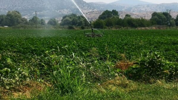 Ανάγκη για έργα διαχείρισης νερού στη Θεσσαλία - Η κλιματική κρίση δεν δίνει περιθώρια αναβολών
