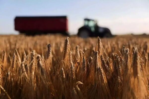 Αγρότες: Αποζημιώσεις για τις πυρκαγιές του 2021 – Εκδόθηκε η ΚΥΑ για την τελική επιχορήγηση
