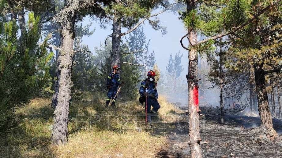 Σέρρες: Για 12η μέρα συνεχίζει η φωτιά στο Όρος Όρβηλος -φωτογραφίες