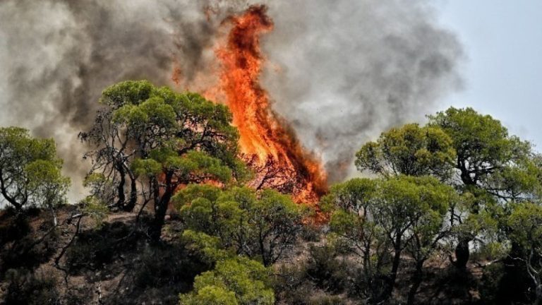 Δράμα: Συνεχίζεται η μάχη για την κατάσβεση της πυρκαγιάς στο Φαλακρό