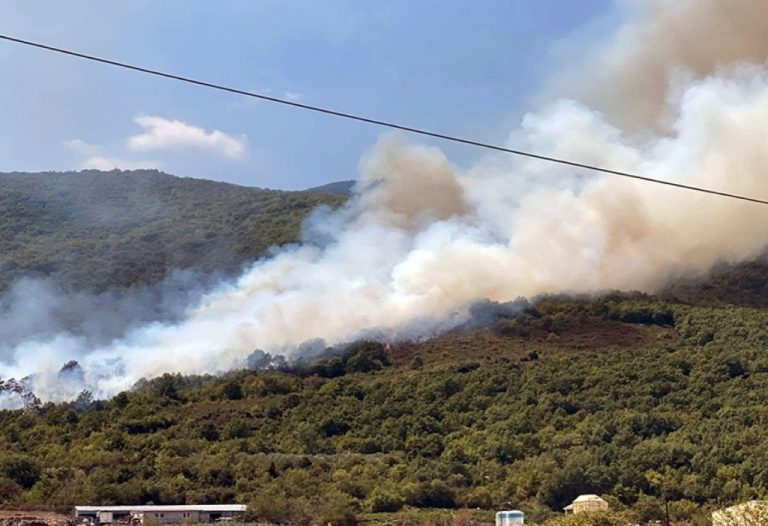 Συναγερμός στην Πυροσβεστική για φωτιά στην Κέα – Μήνυμα του 112 και μεγάλη κινητοποίηση εναέριων