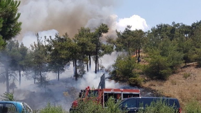 Πυροσβεστική: 42 αγροτοδασικές πυρκαγιές το τελευταίο εικοσιτετράωρο σε όλη τη χώρα