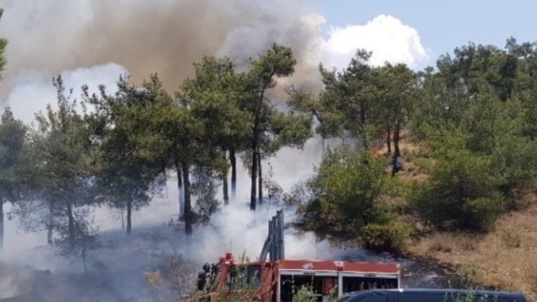 Σε εξέλιξη είναι οι φωτιές σε Κιλκίς και Σουφλί-47 αγροτοδασικές πυρκαγιές το τελευταίο 24ωρο