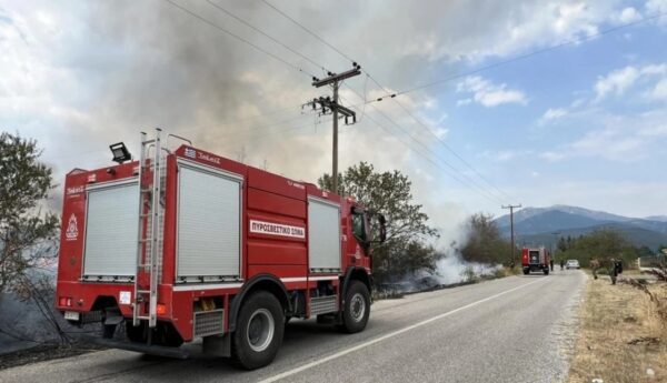 Κομοτηνή: Φωτιά στην Πανεπιστημιούπολη – Άμεση η επέμβαση της Πυροσβεστικής, αποκαταστάθηκε η ηλεκτροδότηση (video)