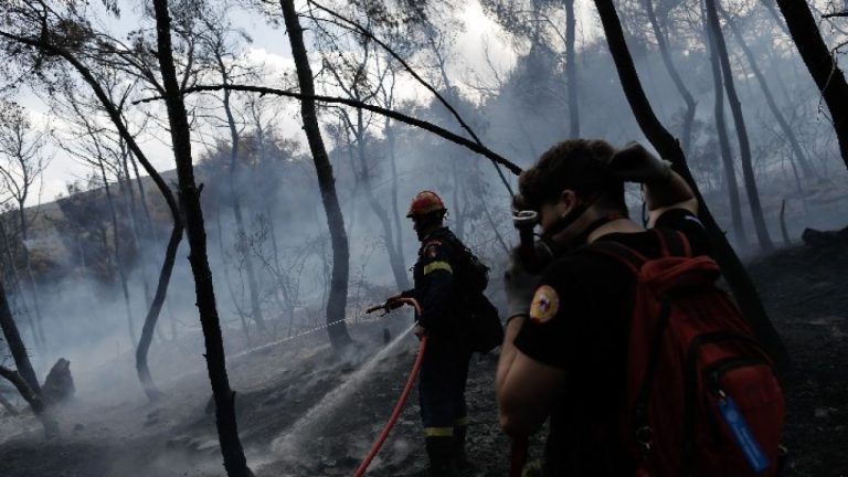 Πυροσβεστική: 45 αγροτοδασικές πυρκαγιές σε 24 ώρες - Οριοθετήθηκε μέσα σε 2 ώρες η πυρκαγιά στα Γλυκά Νερά