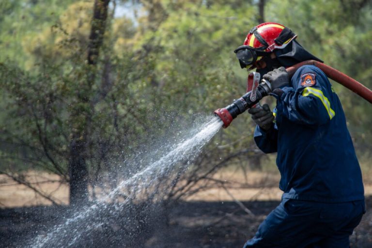 Σέρρες: Υπό έλεγχο η πυρκαγιά στην Τριανταφυλλιά – Επιχειρούν και 4 εναέρια μέσα