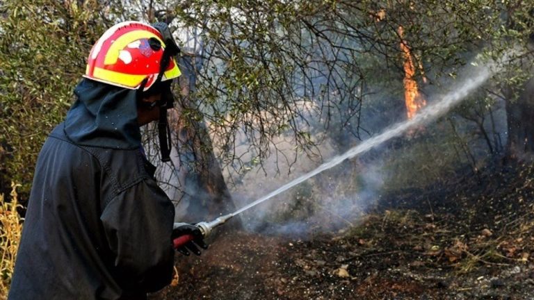 Πολύ υψηλός κίνδυνος πυρκαγιάς αύριο σε Αττική, Βοιωτία, Εύβοια, Φθιώτιδα, Κόρινθο, Αργολίδα
