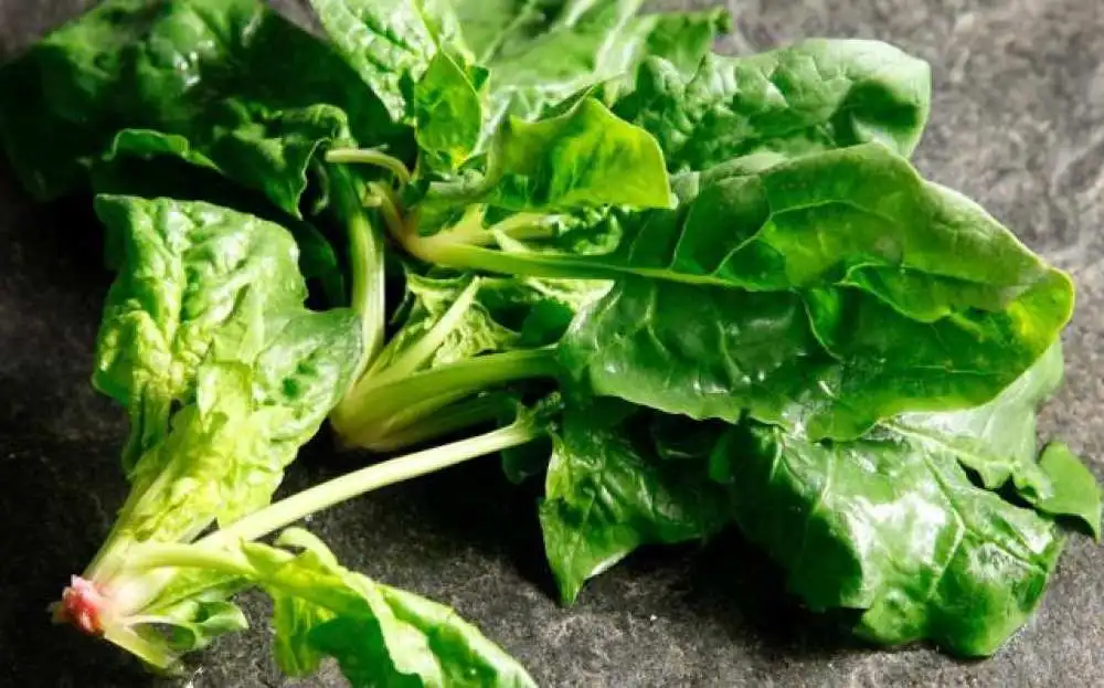 Οι τροφές που αυξάνουν την απορρόφηση σιδήρου στον οργανισμό