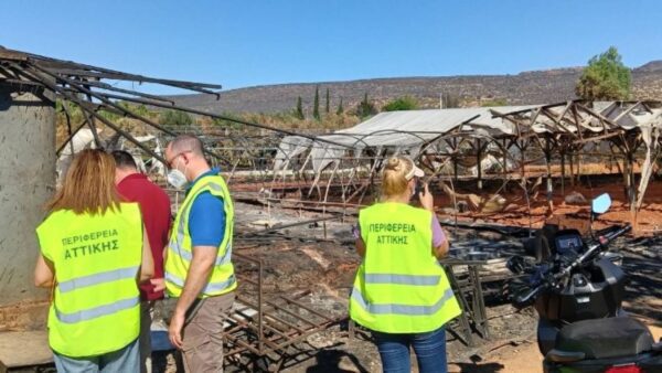 Ολοκληρώθηκαν οι αυτοψίες της Περιφέρειας Αττικής στις πυρόπληκτες επιχειρήσεις