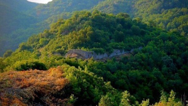 Βελτιωμένη η εικόνα στα δάση της Χαλκιδικής, όπου έγιναν διανοίξεις ζωνών και καθαρισμοί