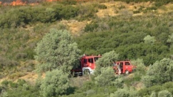 Υπό έλεγχο η πυρκαγιά σε αγροτική έκταση στο Κορωπί