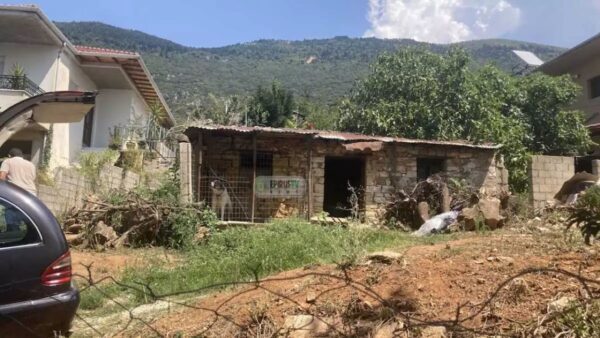 Ιωάννινα: Ο ανιψιός ομολόγησε ότι σκότωσε την 62χρονη – Οικονομικό το κίνητρο