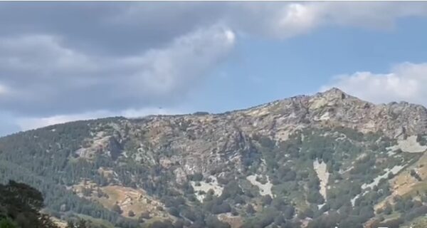 Σέρρες: Οριοθετήθηκε η φωτιά στον Λαϊλιά
