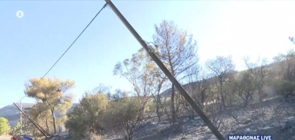 Μεγάλη οικολογική καταστροφή στον Μαραθώνα - Καμένες κολώνες - κίνδυνος