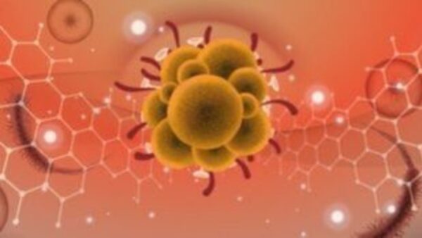 Σουηδία-mpox: Οι αρχές επιβεβαίωσαν το πρώτο κρούσμα της νόσου