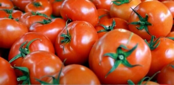 Γιατί καλό είναι να τρώμε ντομάτα κάθε μέρα, ειδικά το καλοκαίρι