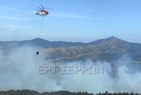 Φωτιά στο Μενοίκιο Όρος: Από το πρωί επιχειρούν εναέρια μέσα -Πέντε φωτιές σε μια μέρα στις Σέρρες (φωτογραφίες και βίντεο)