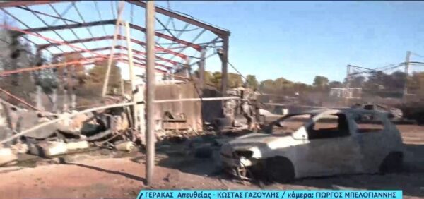 Φωτιά στη ΒΑ Αττική – Γέρακας: Ζημιές σε επιχειρήσεις, σπίτια, αυτοκίνητα και το Δασαρχείο