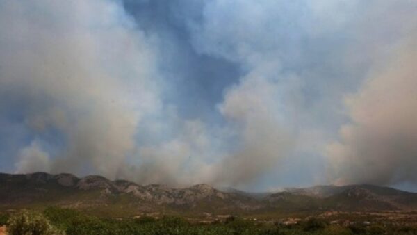 Γλυκά Νερά: Συνελήφθη 80χρονος που κατηγορείται για την πρόκληση από πρόθεση τεσσάρων πυρκαγιών
