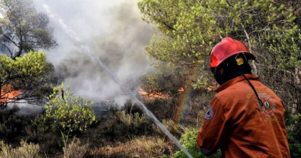Κατοικίες και δασικές πυρκαγιές: Οδηγίες προστασίας