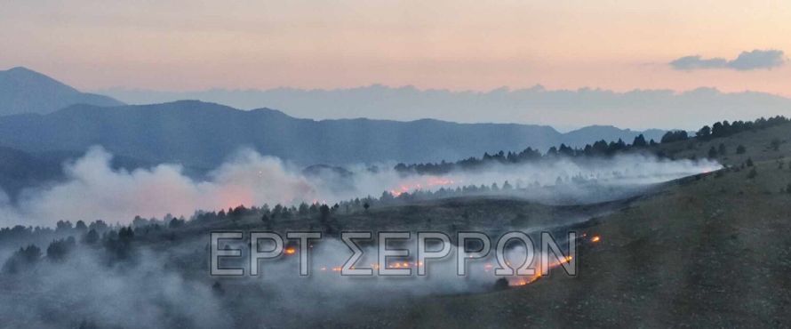 Φωτιά στο Μενοίκιο Όρος: Από το πρωί επιχειρούν εναέρια μέσα -Πέντε φωτιές σε μια μέρα στις Σέρρες (φωτογραφίες και βίντεο)