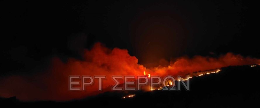 Φωτιά στο Μενοίκιο Όρος: Από το πρωί επιχειρούν εναέρια μέσα -Πέντε φωτιές σε μια μέρα στις Σέρρες (φωτογραφίες και βίντεο)