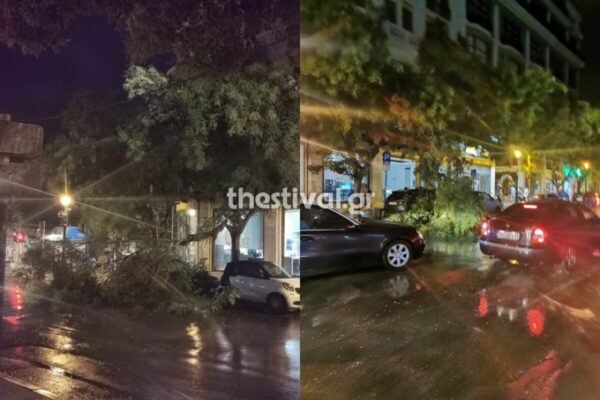 Θεσσαλονίκη: 15 κλήσεις στην Πυροσβεστική για πτώσεις δέντρων λόγω της κακοκαιρίας (φωτο)