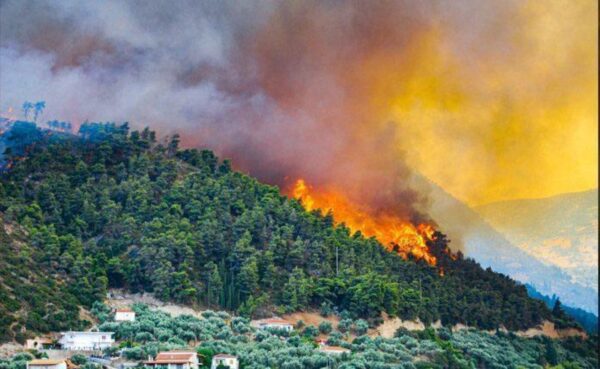 Οι γιγαντιαίες φωτιές προκάλεσαν τεράστιες εκπομπές διοξειδίου του άνθρακα παγκοσμίως – Καταστροφικές οι επιπτώσεις των wildfires