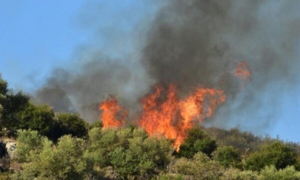Πυροσβεστική: 23 αγροτοδασικές πυρκαγιές το τελευταίο 24ωρο σε όλη τη χώρα
