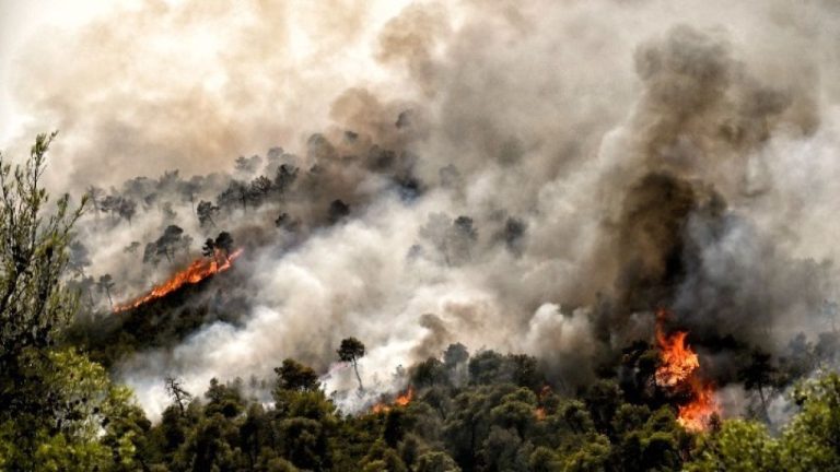 Συνελήφθη μια ηλικιωμένη στον Ωρωπό για πρόκληση πυρκαγιών από πρόθεση και κατ΄ εξακολούθηση