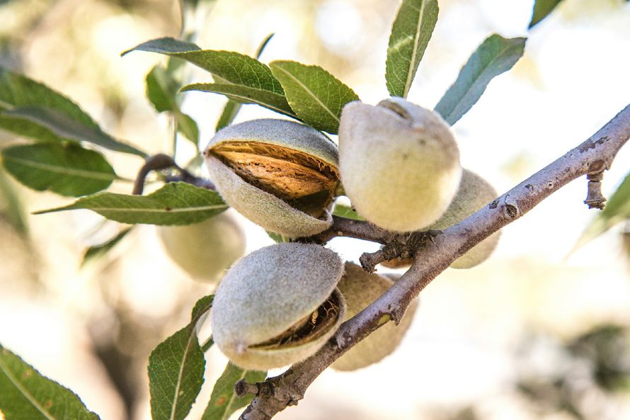 10 από τις πιο θρεπτικές τροφές που αξίζει να τρως